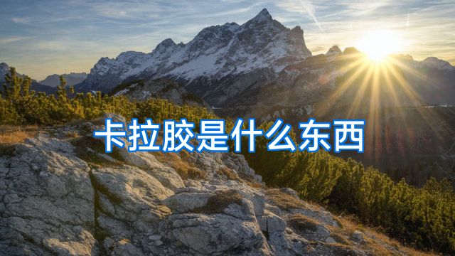 卡拉胶是什么东西