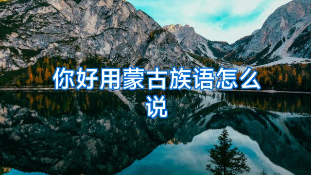 你好用蒙古族语怎么说
