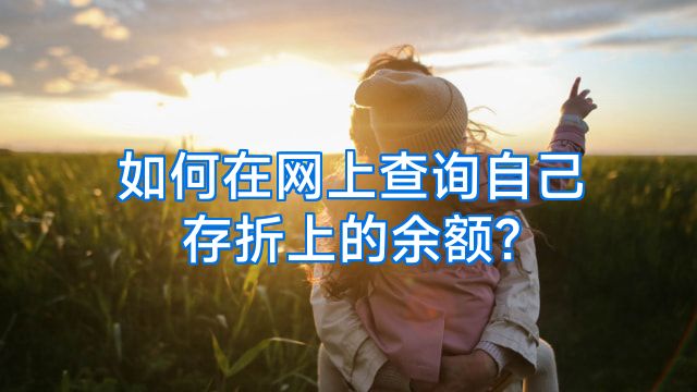 如何在网上查询自己存折上的余额?
