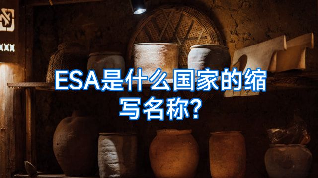 ESA是什么国家的缩写名称?