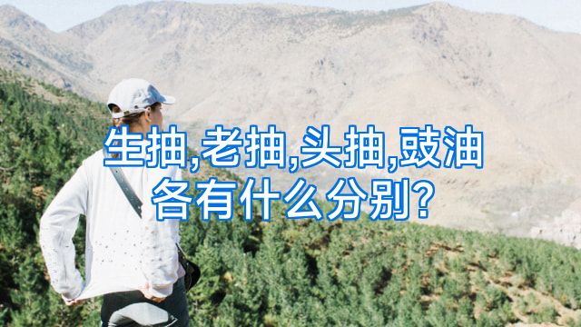 生抽,老抽,头抽,豉油各有什么分别?