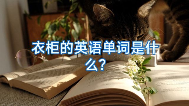 衣柜的英语单词是什么?