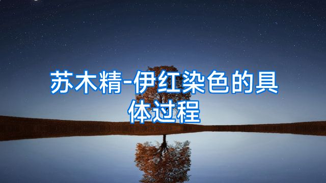 苏木精-伊红染色的具体过程