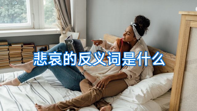 悲哀的反义词是什么