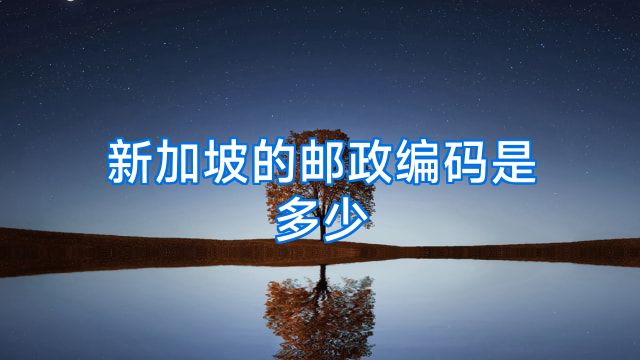 新加坡的邮政编码是多少
