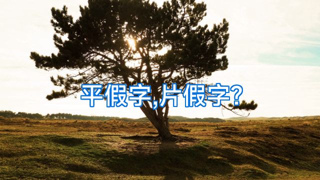 平假字,片假字?