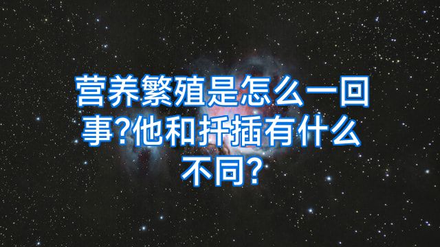 营养繁殖是怎么一回事?他和扦插有什么不同?