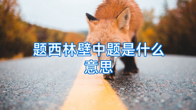 题西林壁中题是什么意思