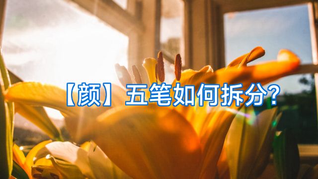 【颜】五笔如何拆分?