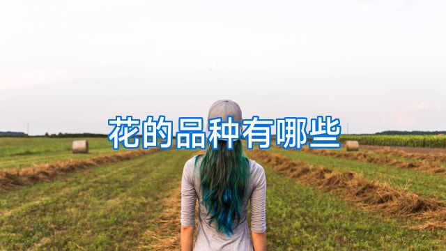 花的品种有哪些