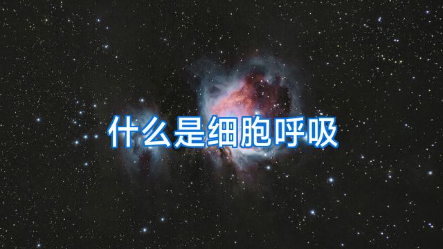 什么是细胞呼吸