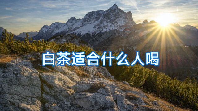 白茶适合什么人喝