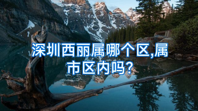 深圳西丽属哪个区,属市区内吗?