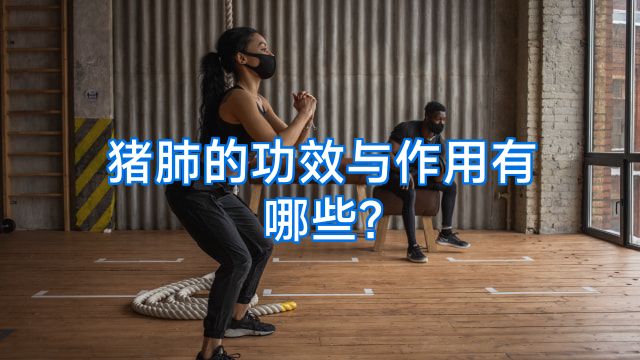猪肺的功效与作用有哪些？