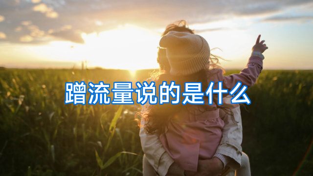 蹭流量说的是什么