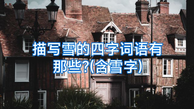 描写雪的四字词语有那些?(含雪字)