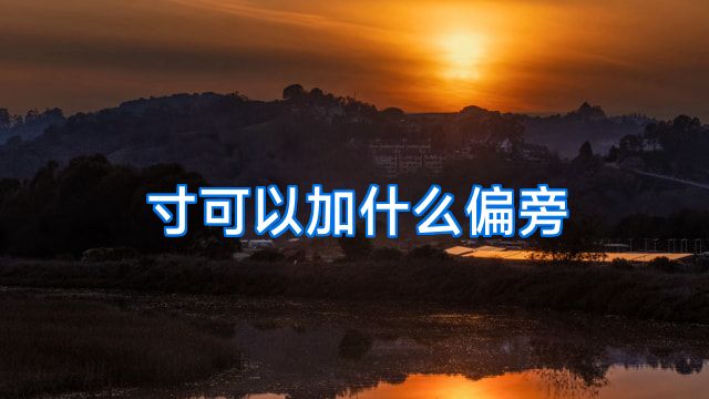 寸可以加什么偏旁
