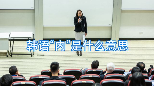 韩语“内”是什么意思