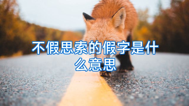 不假思索的假字是什么意思