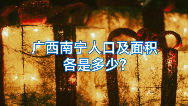 广西南宁人口及面积各是多少?