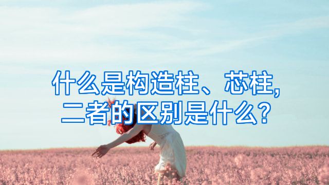 什么是构造柱、芯柱,二者的区别是什么?