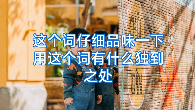 这个词仔细品味一下用这个词有什么独到之处