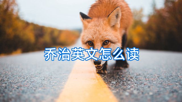 乔治英文怎么读