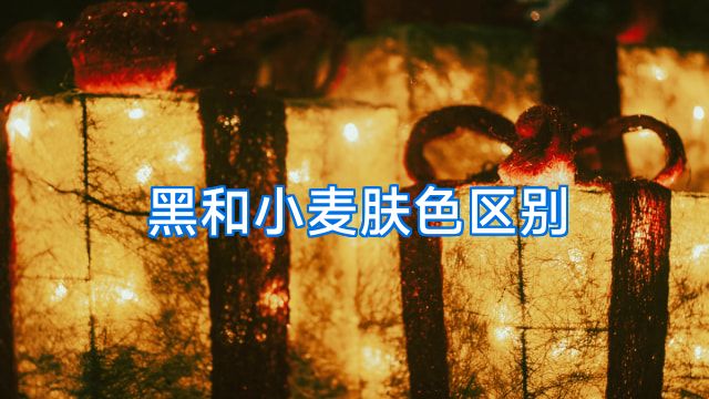 黑和小麦肤色区别
