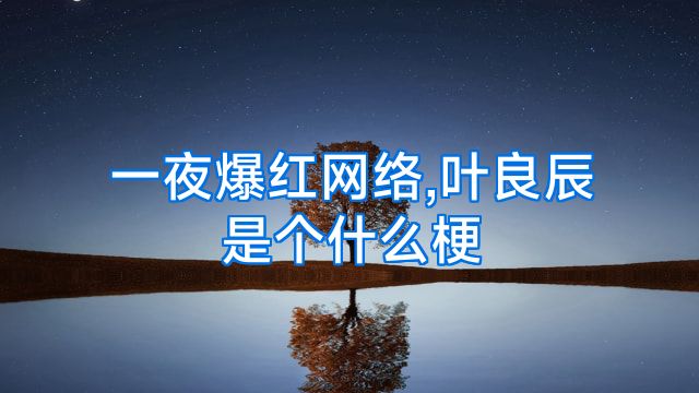 一夜爆红网络,叶良辰是个什么梗