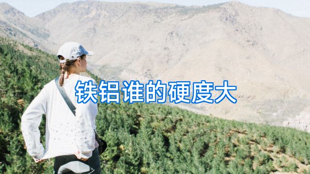 铁铝谁的硬度大