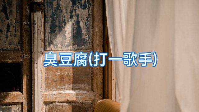 臭豆腐(打一歌手)