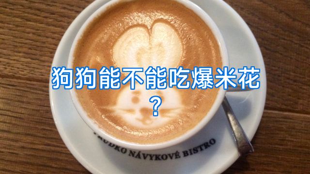 狗狗能不能吃爆米花?
