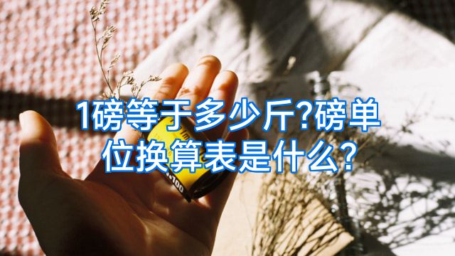 1磅等于多少斤?磅单位换算表是什么?