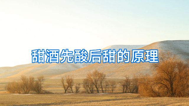 甜酒先酸后甜的原理