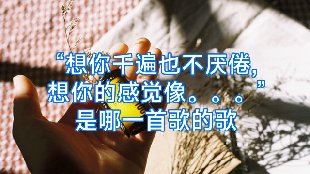 “想你千遍也不厌倦,想你的感觉像。。。”是哪一首歌的歌