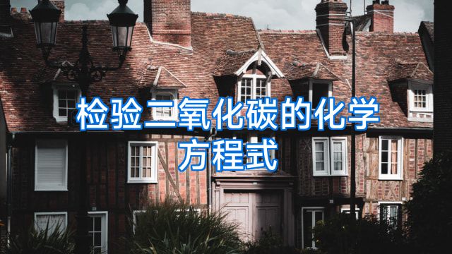 检验二氧化碳的化学方程式