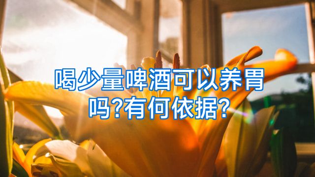 喝少量啤酒可以养胃吗?有何依据?