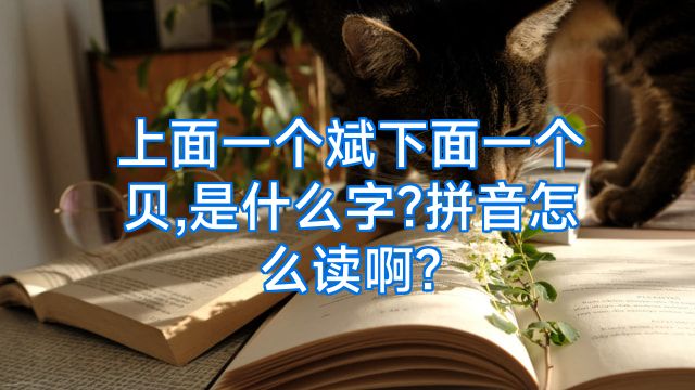 上面一个斌下面一个贝,是什么字?拼音怎么读啊?