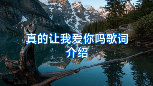 真的让我爱你吗歌词介绍