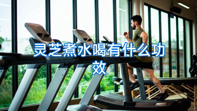 灵芝煮水喝有什么功效