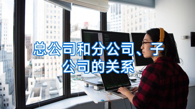 总公司和分公司、子公司的关系