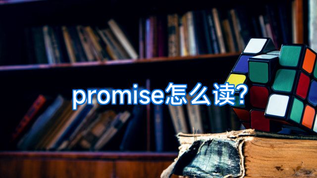 promise怎么读?