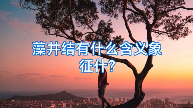 藻井结有什么含义象征什?