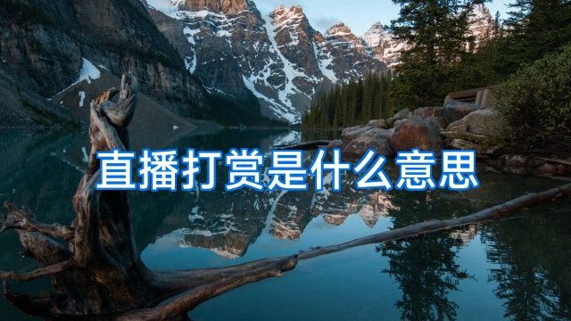 直播打赏是什么意思