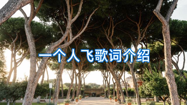一个人飞歌词介绍