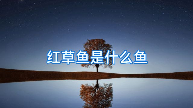 红草鱼是什么鱼