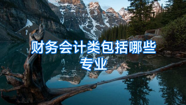 财务会计类包括哪些专业