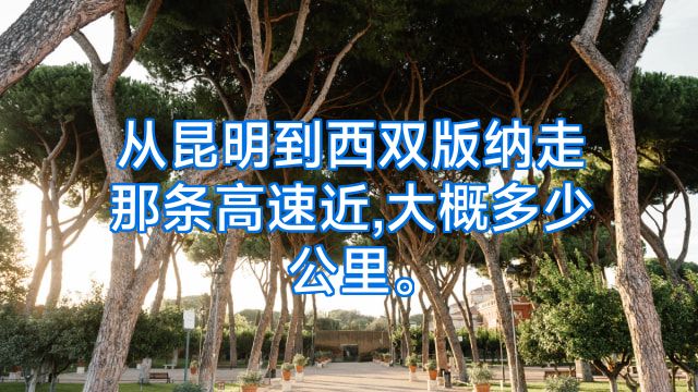 从昆明到西双版纳走那条高速近,大概多少公里。