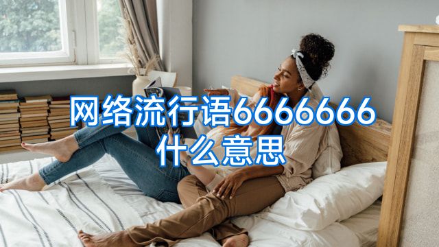 网络流行语6666666什么意思