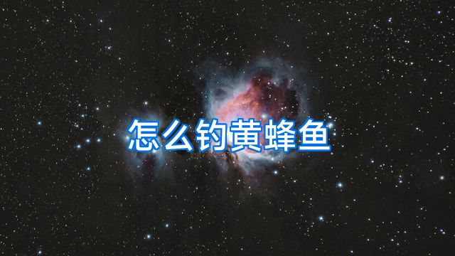 怎么钓黄蜂鱼